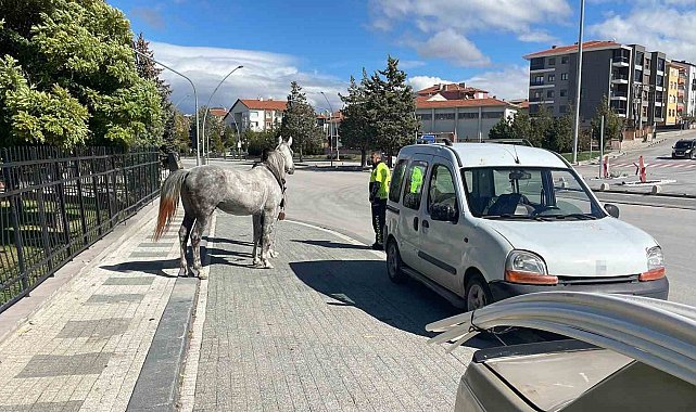 Karaman'da firari atın otomobile çarptığı anlar kameraya yansıdı