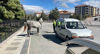 Karaman'da firari atın otomobile çarptığı anlar kameraya yansıdı
