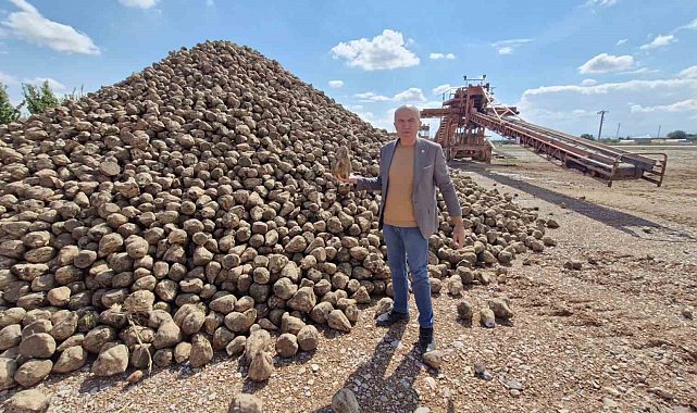 Karaman'da şeker pancarı alım kampanyası başladı