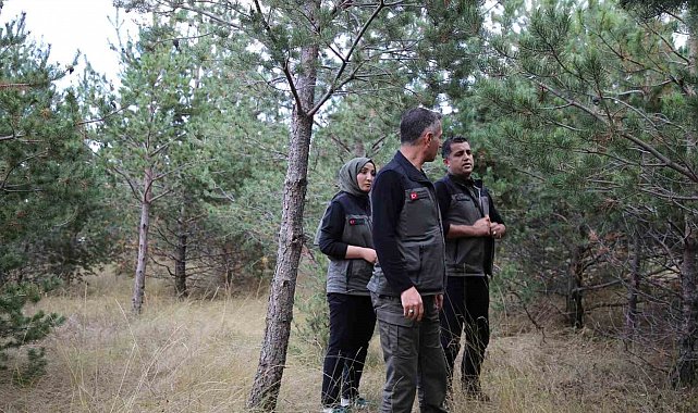 Kars'a yeni yeşil yaşam alanı geliyor: Kent ormanı için düğmeye basıldı