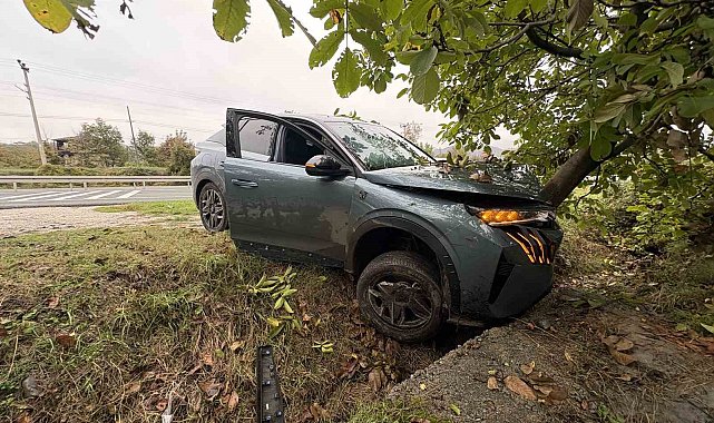 Kastamonu'da cip hafif ticari araç ve ağaca çarptı: 1 yaralı