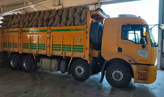 Kastamonu'da fındık üreticisinden 100 tonun üzerinde fındık aldı