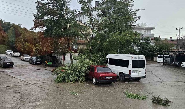Kastamonu'da fırtına çatıları uçurdu, ağaçları devirdi