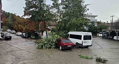 Kastamonu'da fırtına çatıları uçurdu, ağaçları devirdi