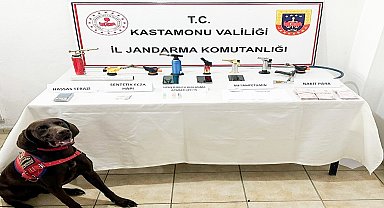 Kastamonu'da uyuşturucu operasyonu: 1 gözaltı