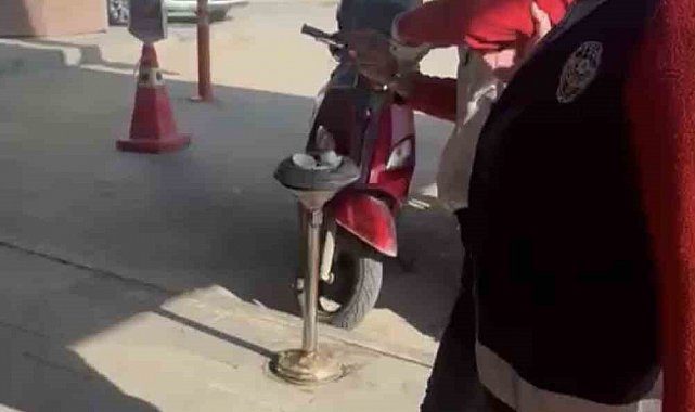Kediye taşla vuran kadın yakalandı