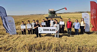 Keşan'da gençler çeltik hasadını yerinde deneyimledi