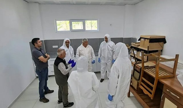 Kestane gal arısına karşı biyolojik mücadele güçlendiriliyor