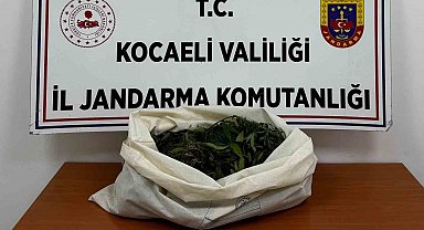 Kocaeli'de jandarmadan 4 ilçede uyuşturucu operasyonu