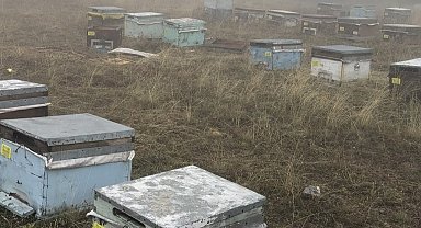 Konya'da ayının kovanlarına saldırdığı üretici: "Aslanım ayı, ye oğlum, ye aslanım"
