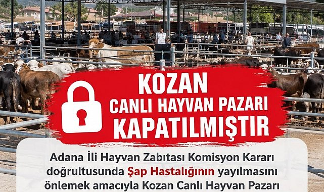 Kozan canlı hayvan pazarı şap hastalığı nedeniyle kapatıldı