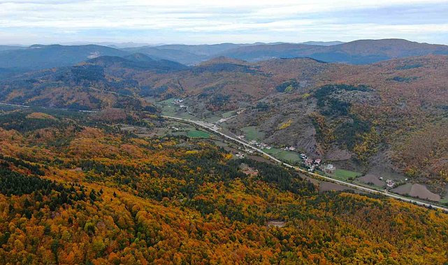 Küre Dağları Milli Parkında renk cümbüşü yaşanan ormanlar büyülüyor