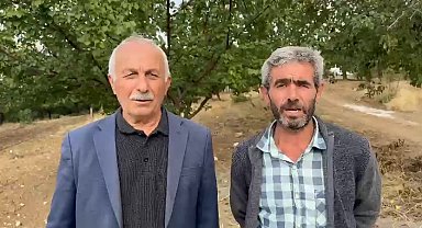 Kurttan kaçan keçi dağlık bölgede mahsur kaldı