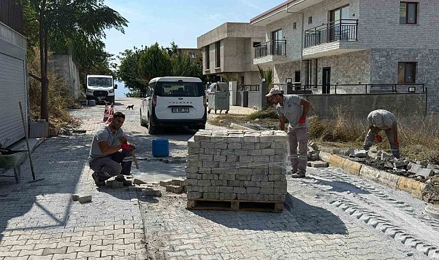 Kuşadası'nda ekipler 56 noktada sahaya indi