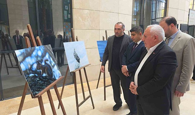 Kütahya'nın yaban hayatı fotoğraflarla gözler önüne seriliyor