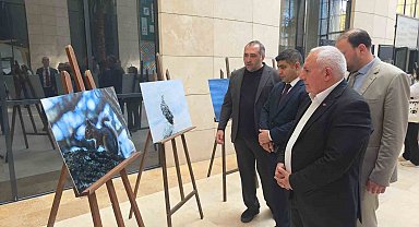 Kütahya'nın yaban hayatı fotoğraflarla gözler önüne seriliyor