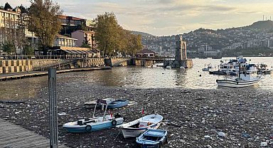 Limanda şaşırtan görüntü