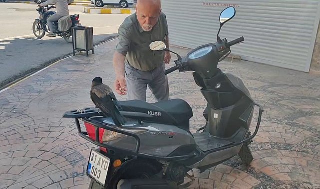 Mahallelinin neşe kaynağı oldu, sırra kadem basmasıyla esnaf 'kargamızı istiyoruz' çağrısında bulundu
