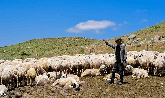 Malatya Büyükşehir Belediyesi 35 yıllık soruna neşter vurdu