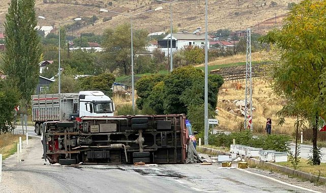 Malatya'da arı yüklü kamyon devrildi: 2 yaralı