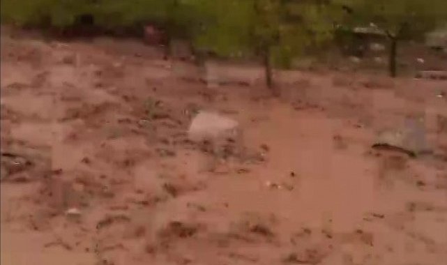 Malatya'da dereler taştı, konteynerleri su bastı