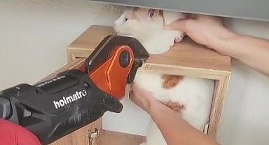 Malatya'da posta kutusuna sıkışan kedi kurtarıldı