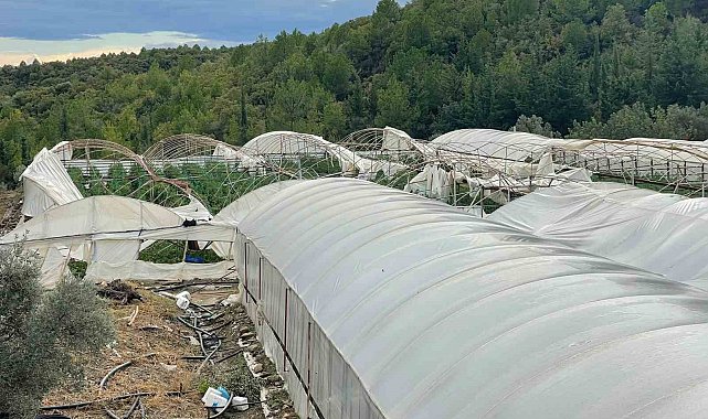 Manavgat'ta hortum seraları yerle bir etti: 15 dönüm tarım arazisi zarar gördü