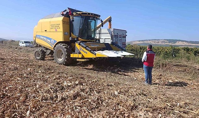Manisa'da tarımsal üretimde saha denetimleri sürüyor