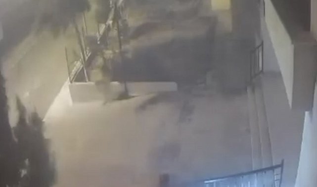 Mardin'de devrilen ağaçtan 10 saniyeyle kurtuldu: O anlar kamerada