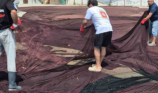 Marmara'da hayalet ağ operasyonu: 800 kiloluk atıklar güneş gözlüğüne dönüşüyor