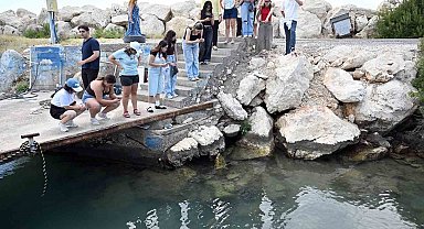 Mersin'de biyolojik çeşitlilik MINKA ile kayıt altına alınıyor