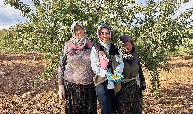 Meyve bahçelerinde ürün verimliliği için kontroller sürüyor