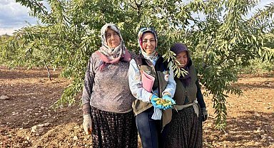 Meyve bahçelerinde ürün verimliliği için kontroller sürüyor