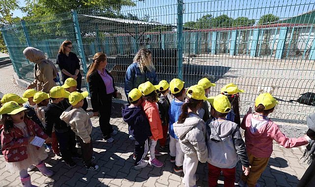 Minikler bakımevindeki hayvanlarla buluştu