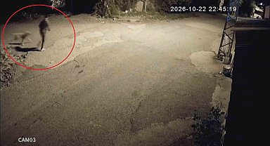 Motosikletle gelip köpeği çalan hırsızlara sitem: "Köpek çalmak nedir"