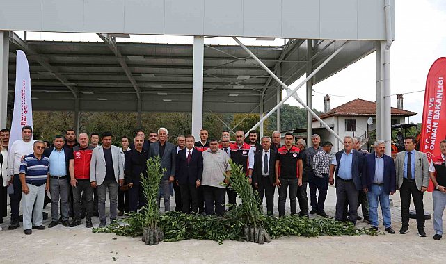 Muğla'da Defne ihracatından 75 milyon dolar bekleniyor