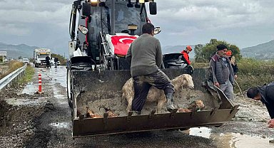 Muğla'da tüm kurumlar yağmur teyakkuzunda
