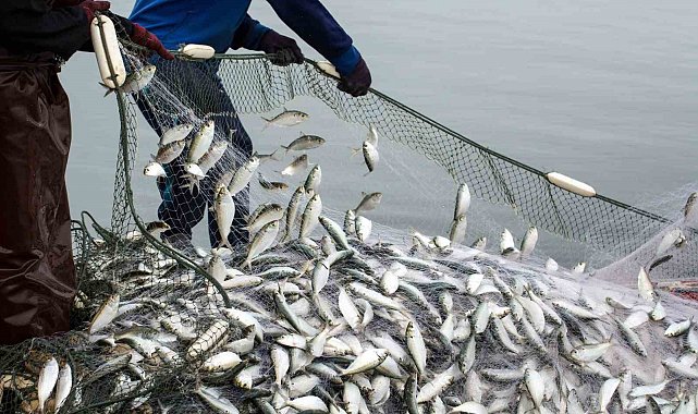 Muğla'nın ihracatı Eylül'de yükselişini sürdürdü