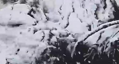Muğla'ya sezonun ilk karı yağdı