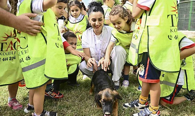 Muratpaşa'da 2026'da 287 sokak hayvanı yeni yuvasına kavuştu