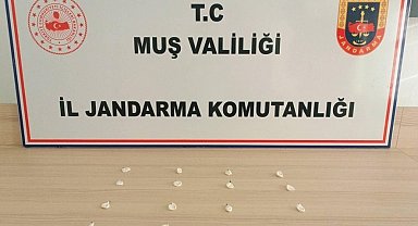 Muş'ta jandarmadan uyuşturucu operasyonları: 19 olaya müdahale edildi