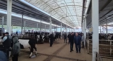 Nazilli Hayvan Pazarı'nda kaçak ve belgesiz hayvanlara geçit yok