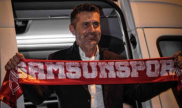 Nenad Bjelica, Samsunspor'da