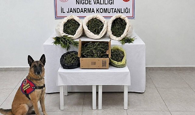 Niğde'de 10 kilo uyuşturucu ele geçirildi