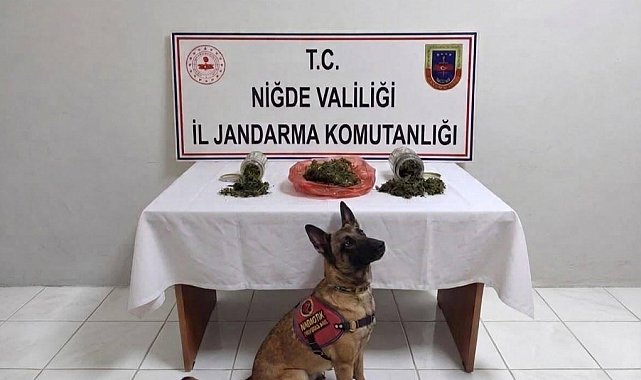 Niğde'de bir haftada 51 aranan şahıs yakalandı
