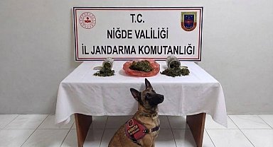 Niğde'de bir haftada 51 aranan şahıs yakalandı