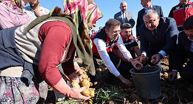 Niğde'de yerli patates çeşitlerinin hasadı yapıldı
