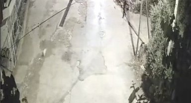 Önce motosikletle kovaladılar sonra köpeği çaldılar
