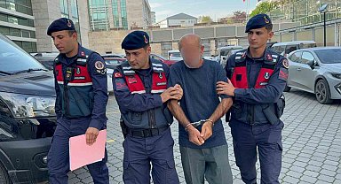 Orman envanterlerini çalarken suçüstü yakalandı