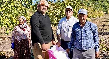 Orman köylüsüne gelir kapısı olan ağaçlar meyve verdi